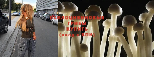 спайс Алексеевка