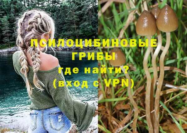 мескалин Алексин